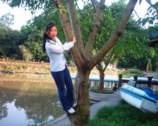 2006  (62)